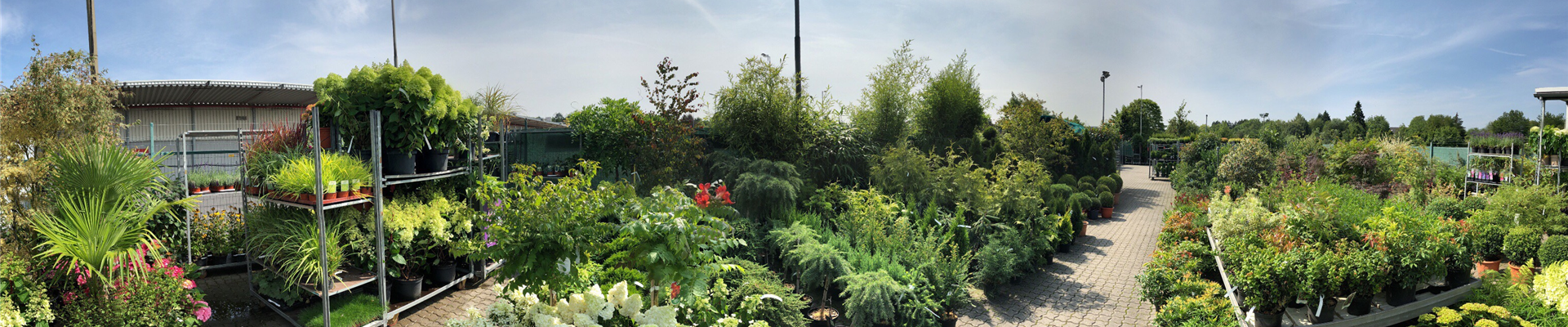 IMG_3231.JPG IMG_3231.JPG